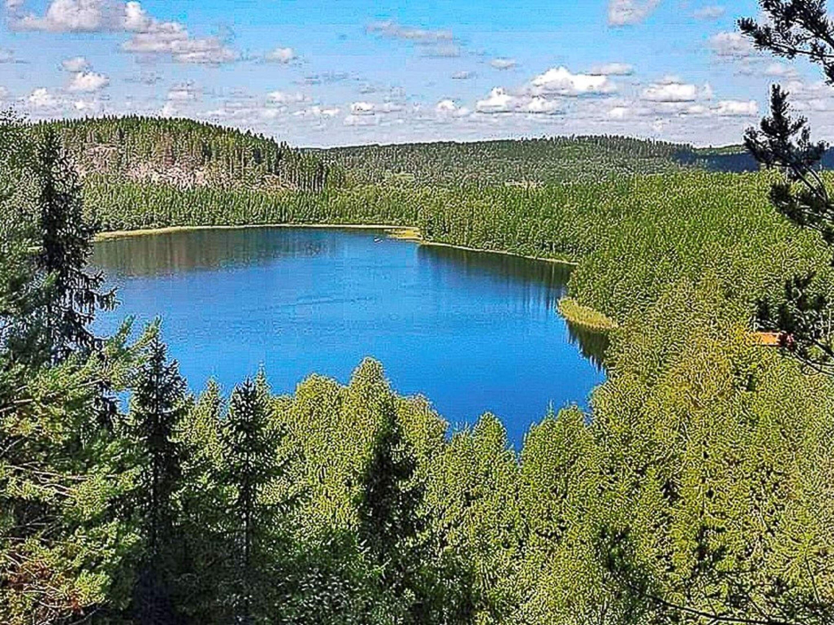 En sjö omgiven av tät skog.