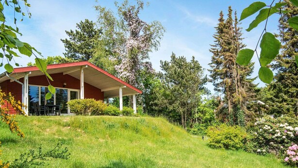 Ferienhaus | Blick von der Unterkunft