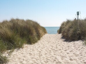 A sandy beach path leading to the sea, flanked by tall grass.
