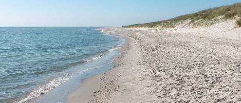 하우스 | 수변 전망