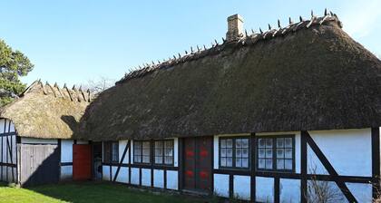 6 Person Holiday Home in Glamsbjerg