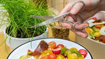 Frokostbuffé hver dag (EUR 17 per person)