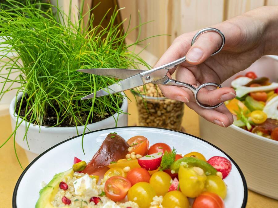 Une main tenant des ciseaux au-dessus d’un saladier rempli de divers légumes, avec une plante en pot en arrière-plan.