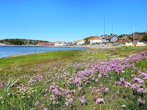 Vista desde la propiedad