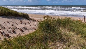 Ein Strand mit Wellen, grasbewachsenen Dünen und Windkraftanlagen im Hintergrund.