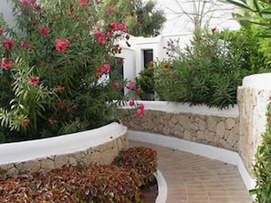 Property grounds - Los Cardones (Arona)