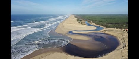 Plage à proximité