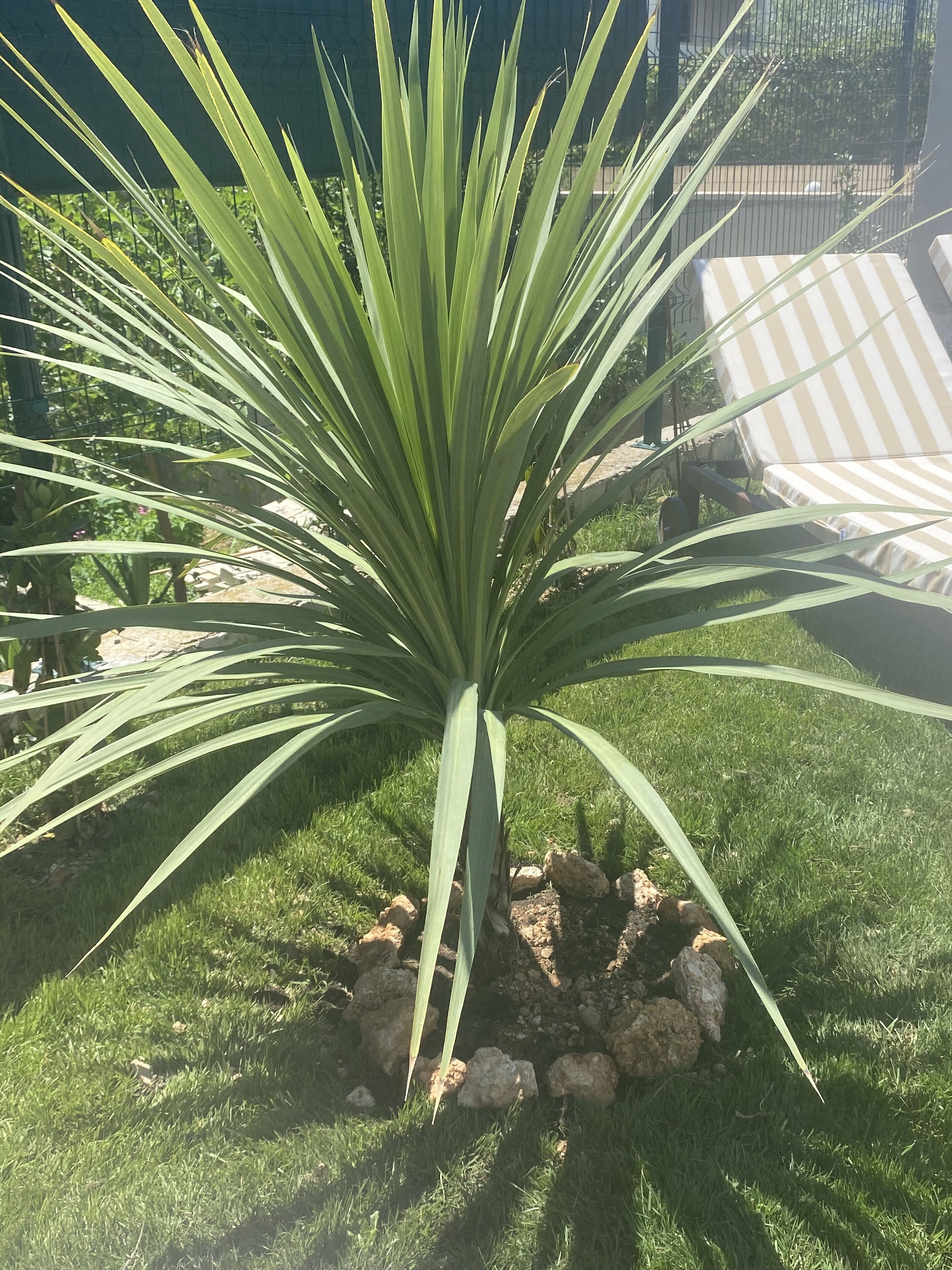 Family Villa, Private Pool | Garden