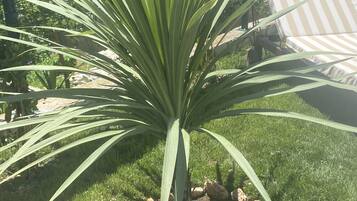 Family Villa, Private Pool | Garden