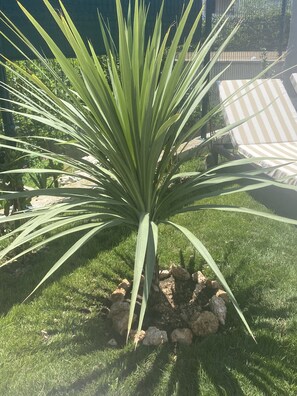 Family Villa, Private Pool | Garden - Villa Mediterra Garden & Pool (Bol)