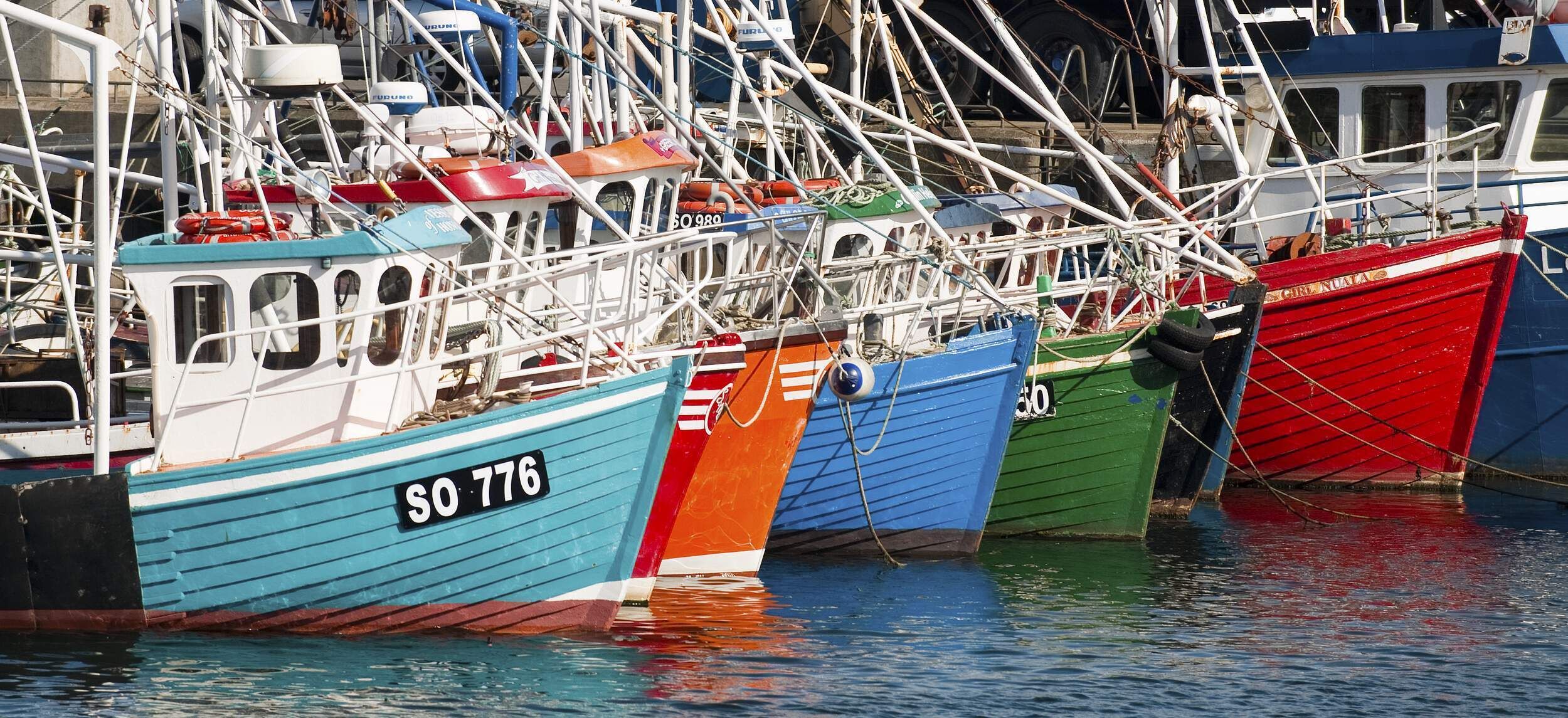 A marina with several boats docked.
