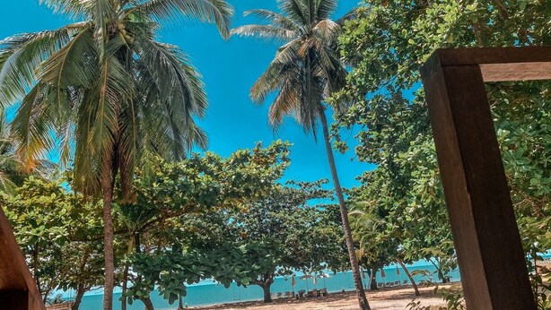 A beach with palm trees and a clear blue sky. - Chaithalay Khanom Resort (Khanom)