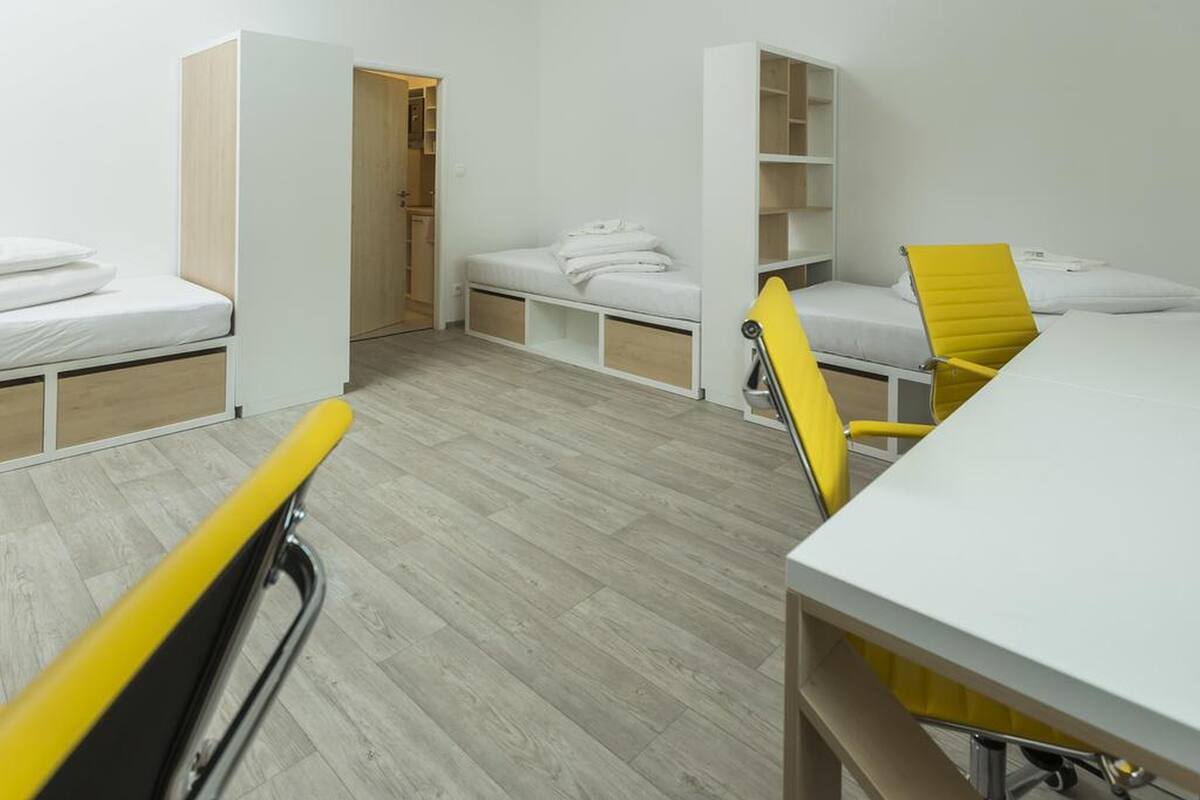 A compact room with a bed, a desk, and a chair.
