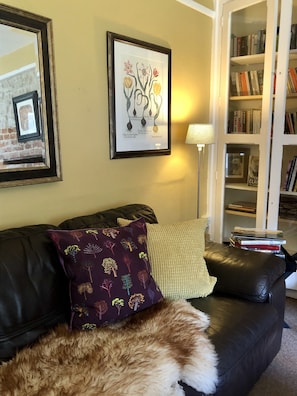 TV, fireplace, books