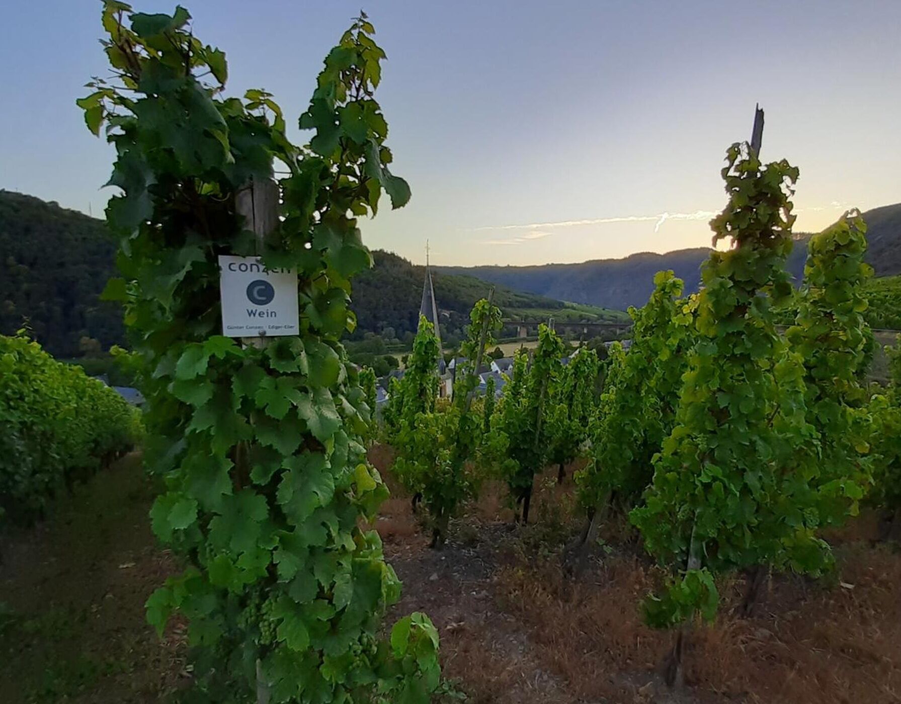 Khuôn viên nơi lưu trú