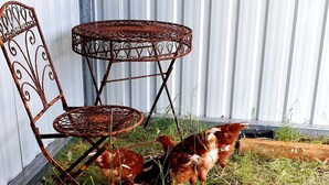 A metal chair and table set against a corrugated metal wall. - Farmstay cabins in Western Australia, close to highway. (Northampton)