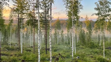 Lyxstuga - 1 queensize-säng - utsikt mot parken - intill skidbacke | Exteriör
