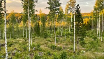 Kabin Mewah, 1 Tempat Tidur Queen, pemandangan taman, tepi tebing | Pemandangan dari kamar