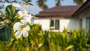 Un bâtiment blanc avec un toit brun et des fenêtres vertes, entouré d’une végétation luxuriante et de palmiers.