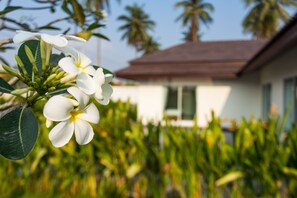 Garden - Unique Pool Villa (Pattaya)