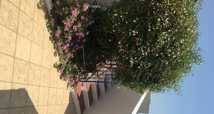 Apartment in the heart of Santa Marina