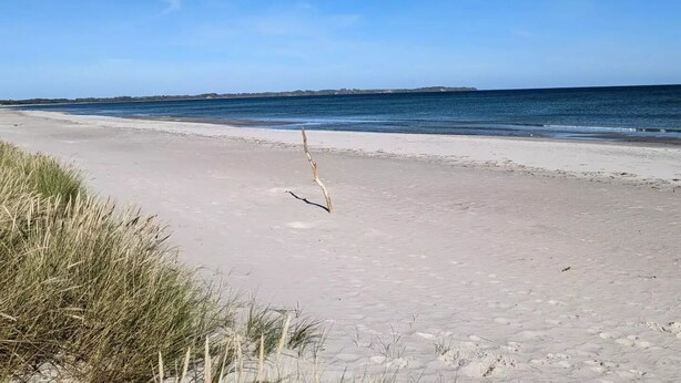 Ein Strand mit blauem Himmel und ruhigem Wasser.
