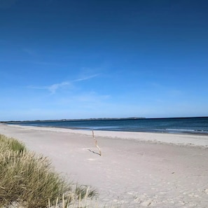 Ein Strand mit blauem Himmel und ruhigem Wasser.