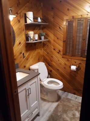 Combined shower/tub, towels, toilet paper - Cabin in the woods (Hawley)