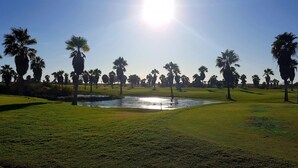 Un campo de golf con un estanque, palmeras y cielo despejado.