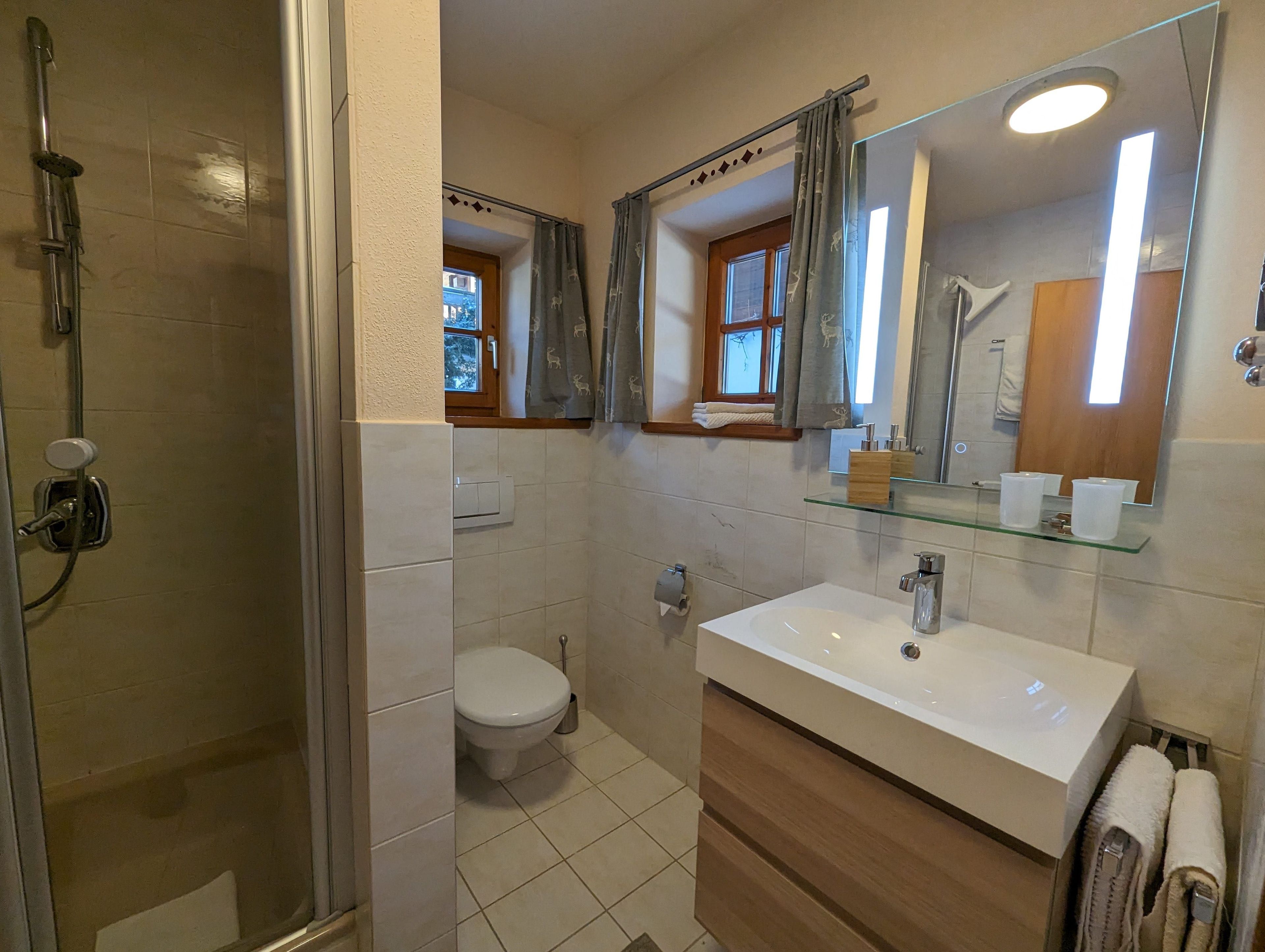 A bathroom with a shower, toilet, sink, and a mirror.