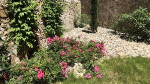 A garden with pink flowers, green foliage, and a stone wall. - Etoile de Mer : T2 Avec Jardin, Accessible aux Personnes à Mobilité Réduite, (Sète)