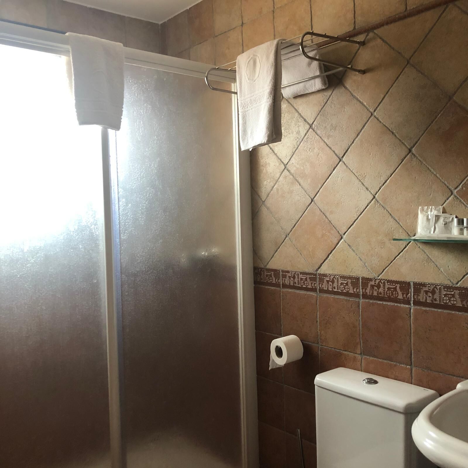 Een badkamer met een douche, toilet en een handdoekhouder.