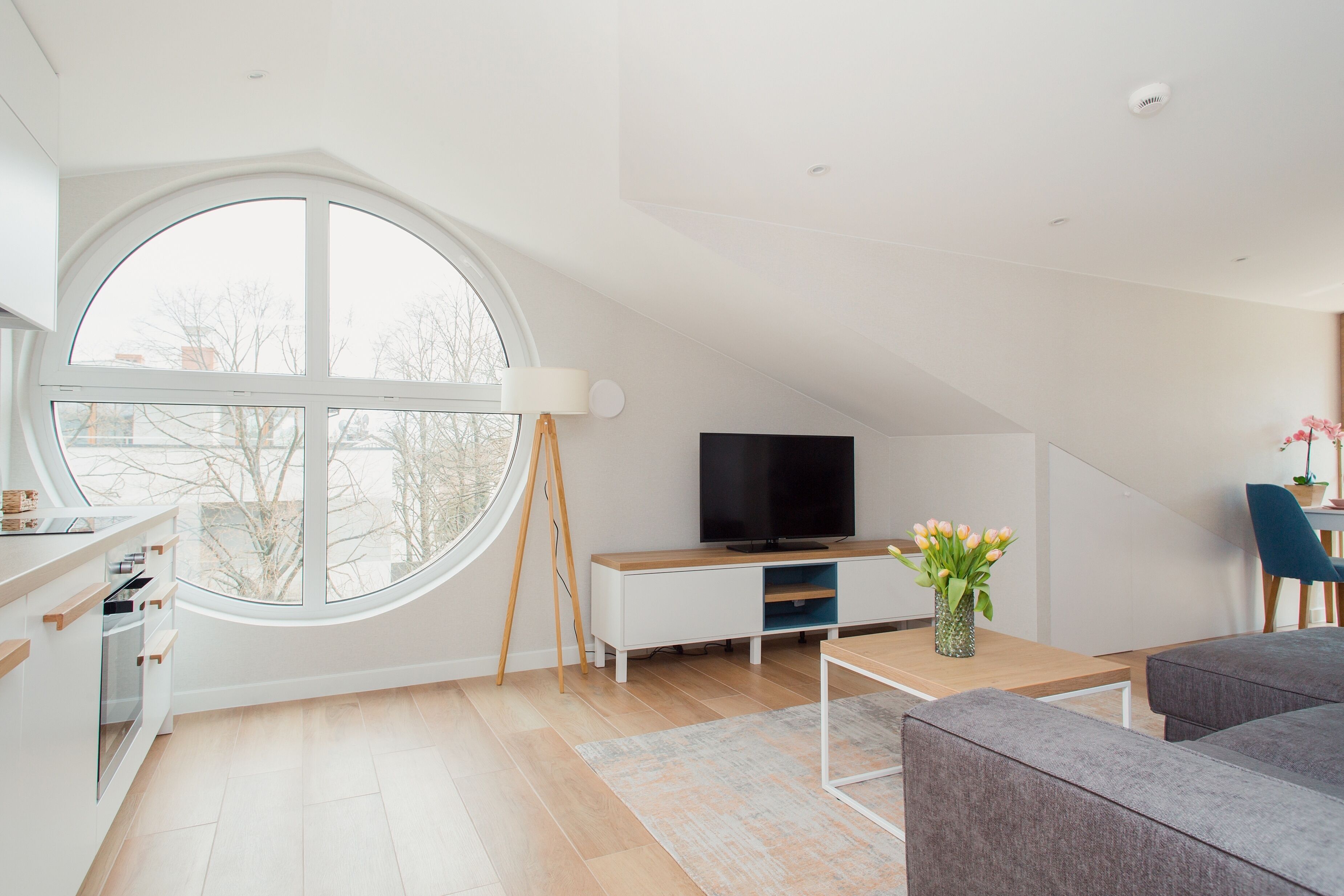 Exclusive Apartment (31) | Living area | 42-inch flat-screen TV with satellite channels, TV