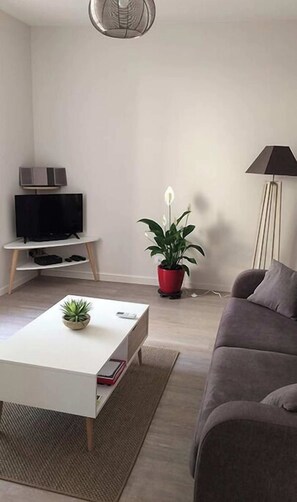TV