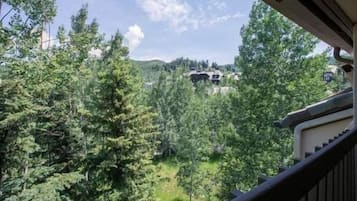 Apartemen, 2 kamar tidur | Balkon