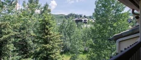 Apartment, 2 Bedrooms | Balcony