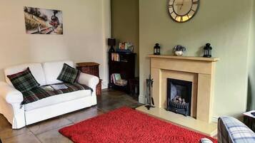 Televisión y chimenea