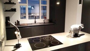 A modern kitchen with a built-in induction cooktop, a window with a view, and a decorative elephant sculpture.