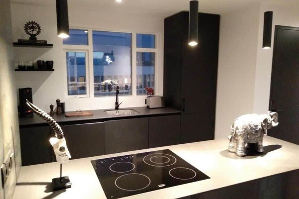 Frigorífico, microondas, horno y placa de cocina