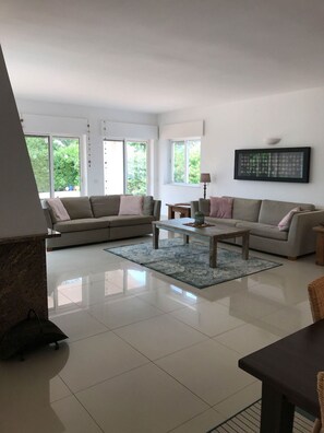 Televisión y chimenea