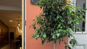 Uma mesa de jantar com diversos alimentos e uma planta em vaso.