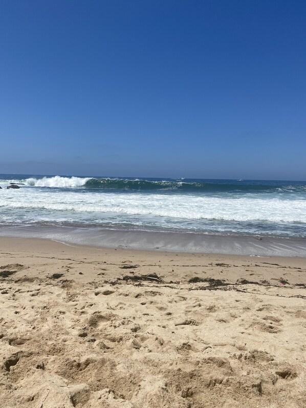 En la playa y toallas de playa 