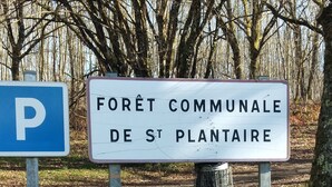 A sign for a public forest in St. Plantaire. - Beautifully Renovated, French Barn, Pet Friendly with WIFI (Saint-Plantaire)