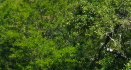 Beautifully Renovated, French Barn, Pet Friendly with WIFI