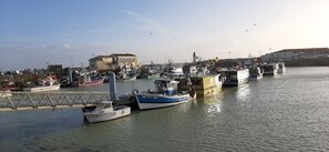 Marina