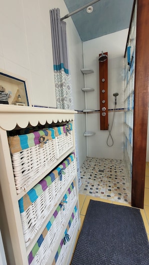 Shower, hair dryer, toilet paper