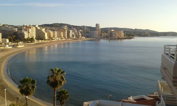 A coastal cityscape with a curved beach, palm trees, and a variety of buildings including high-rise apartments and hotels. - CALPE BAY SEA (Calpe)