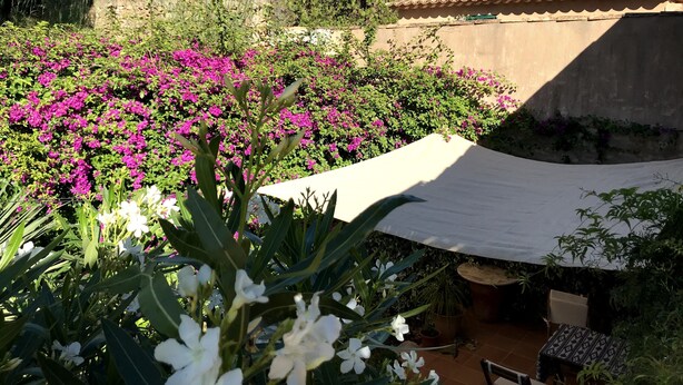 Zona patio con un tetto bianco, circondata da vegetazione rigogliosa e fiori rosa vivaci.
