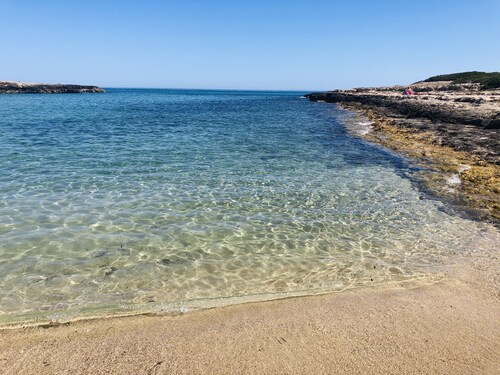 White stone typical apulian villa  with barrel roof  surrounded by olive trees.
