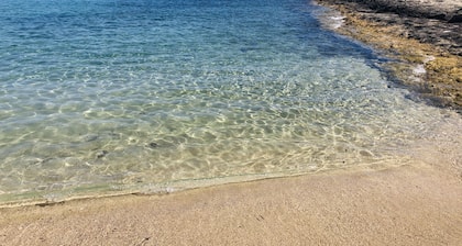 White stone typical apulian villa with barrel roof surrounded by olive trees.